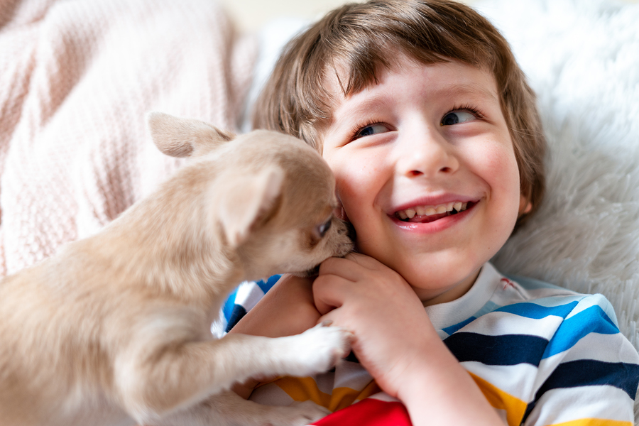 Wat te doen bij bijtwonden?